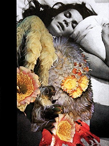 Jonah Freeman and Justin Lowe: Black Acid Co-Op / Bright White Underground / Stray Light Grey / Artichoke Underground