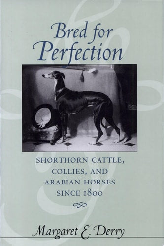 Bred for Perfection: Shorthorn Cattle Collies and Arabian Horses Since 1800