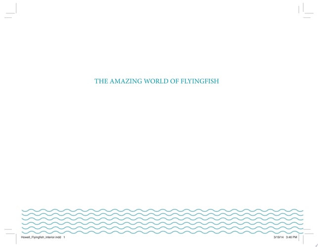 Amazing World of Flyingfish