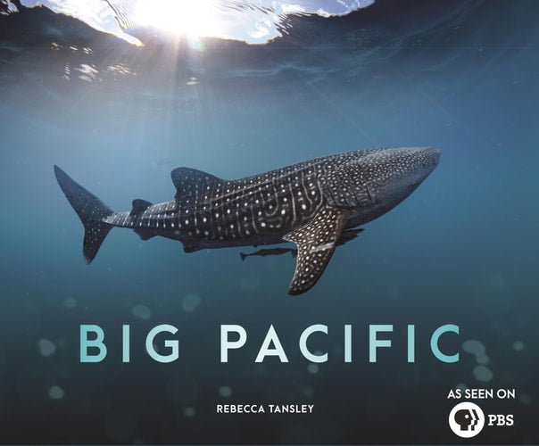 Big Pacific: Passionate Voracious Mysterious Violent