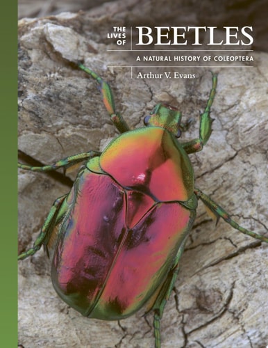 Lives of Beetles: A Natural History of Coleoptera