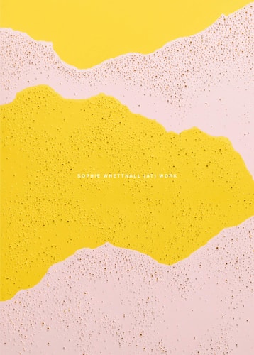 Sophie Whettnall (at) Work