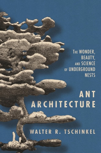 Ant Architecture: The Wonder  Beauty  and Science of Underground Nests