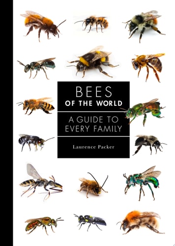 Bees of the World: A Guide to Every Family