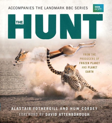 Hunt: The Outcome Is Never Certain