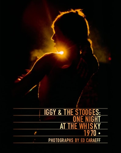 Iggy and the Stooges